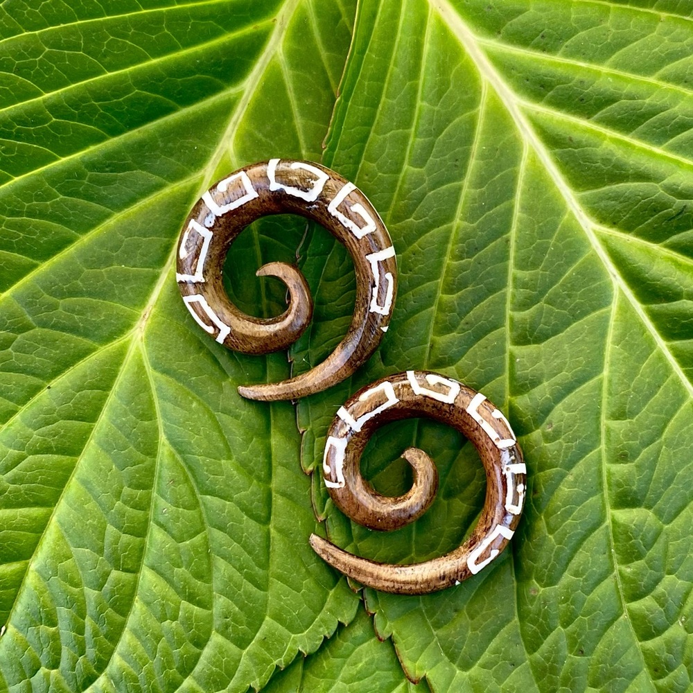 🌈 3/$20 SPIRAL HANDMADE GAUGE TAPERED HANGER ORGANIC WOOD EARRINGS